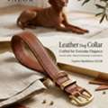 Premium Leather Dog Collar | Manifattura VALOR