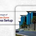 Benefits Of Free Zone Company In Dubai - Dubiz Business Setup