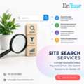EnFuse Offers Keyword-Driven Site Search Solutions For Better UX