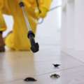 Insect Control