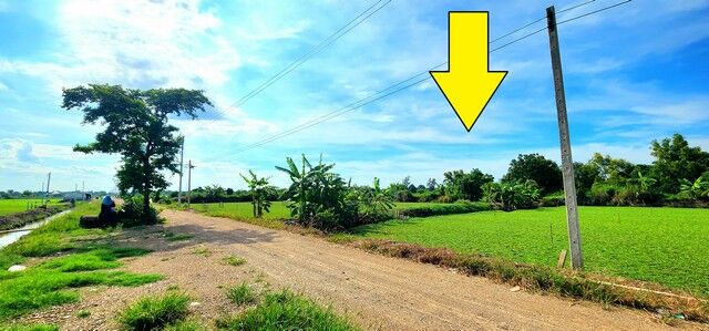 Bangkok, Real Estate For Sale, THB 750000,  6 BR,  200 Sq. Feet,  Land For Sale On Klong 12, Nong Tiger, 200 Sq.w., 8 M. On The Road. Suitable For Growing