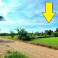 THB 750000,  6 BR,  200 Sq. Feet,  Land For Sale On Klong 12, Nong Tiger, 200 Sq.w., 8 M. On The Road. Suitable For Growing