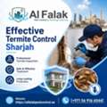 Effective Termite Control Services In Sharjah By Al Falak – Call +971 56 916 6544 Today