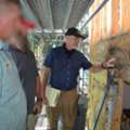 Evaluate Your Property For Carpenter Ants Damage To House