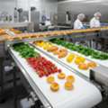 Conveyor Roller Manufacturer For Warehousing And Logistics Applications