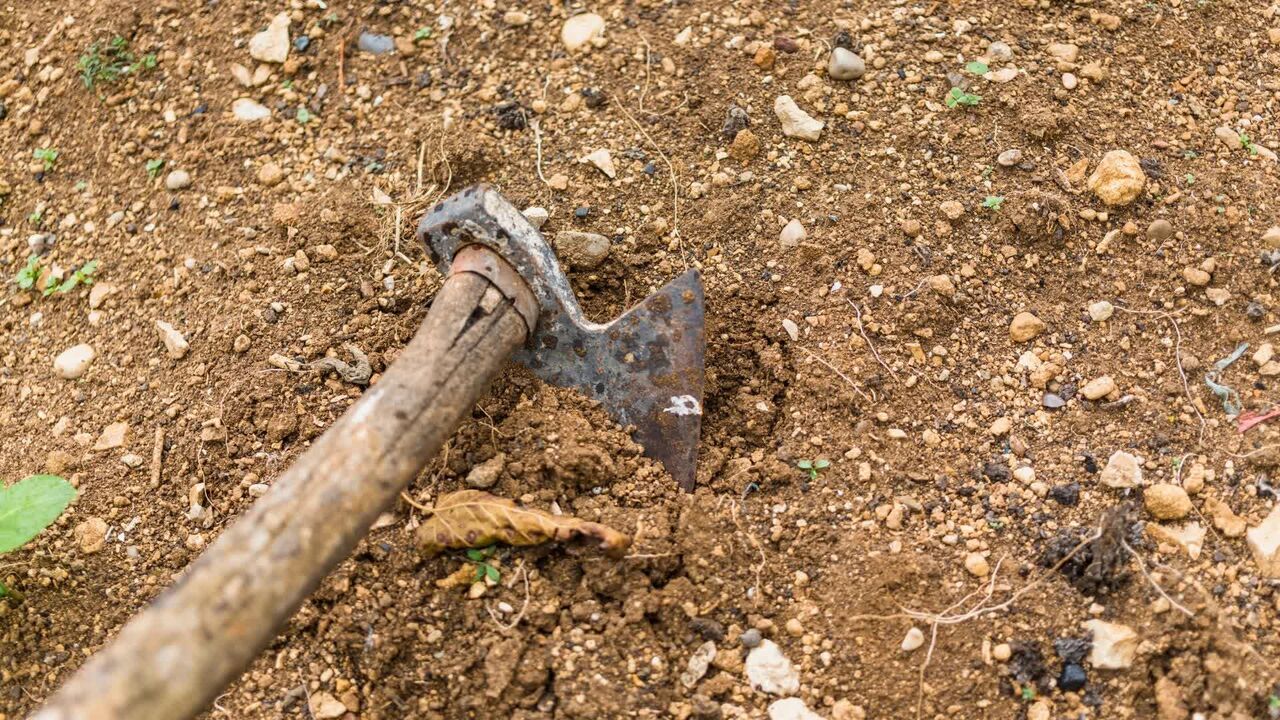Tbilisi, Business, Poor Yard Drainage Can Damage Your Foundation: 9 Warning Signs