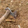 Poor Yard Drainage Can Damage Your Foundation: 9 Warning Signs
