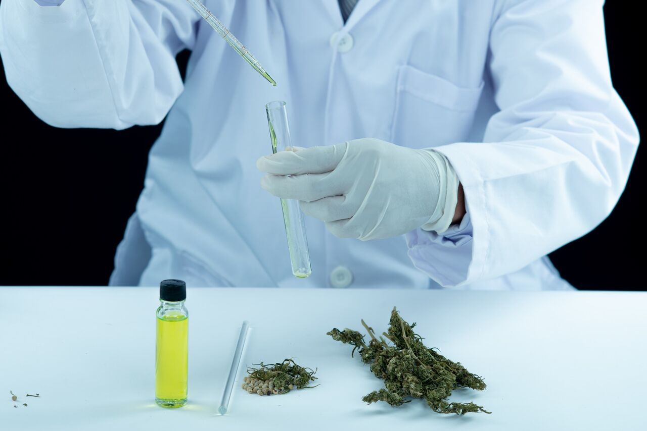 New York, Business, Which Weed Dispensaries Near Me Offer Quality Products?