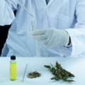 Which Weed Dispensaries Near Me Offer Quality Products?