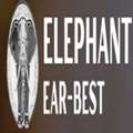 Elephant Ear