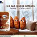 Best Dry Fruits Shop Near Me