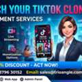 USD 499, Cost-Effective TikTok Clone App Development For US Businesses