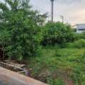 THB 60000000,  6 BR,  200 Sq. Feet,  LS 992 ขายที่ดินถมแล้ว 200 ตร.วา เลียบด่วน เ