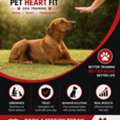 Dog Trainer Ahmedabad | Expert Obedience & Behavior Training