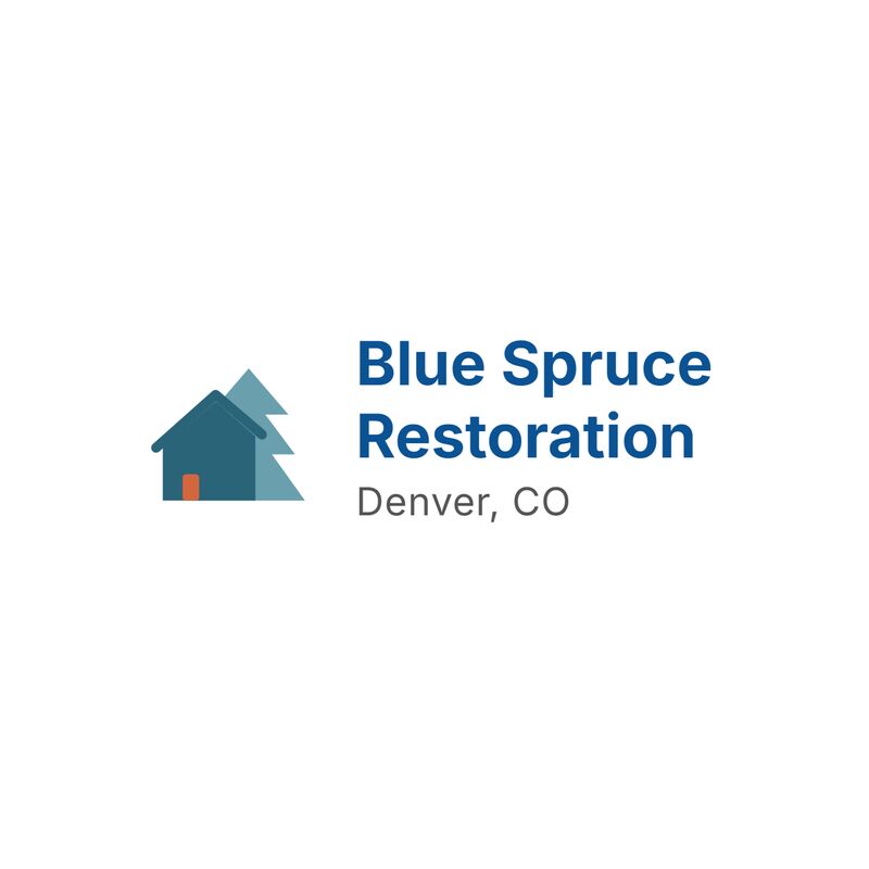Austin, Construction, Blue Spruce Restoration - Water Damage Restoration & Mold Remediation, Denver CO