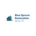 Blue Spruce Restoration - Water Damage Restoration & Mold Remediation, Denver CO