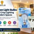 USD 64,  Halogen Light Bulbs For Bright, Crisp Illumination