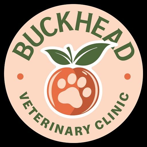 New York, Health, Buckhead Veterinary Clinic
