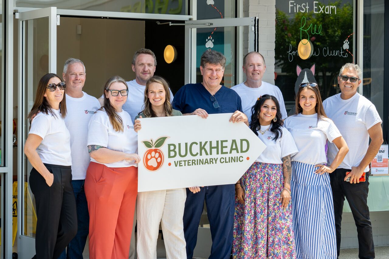 New York, Health, Buckhead Veterinary Clinic