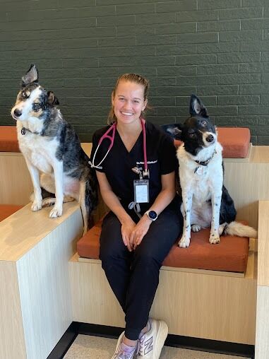 New York, Health, Buckhead Veterinary Clinic