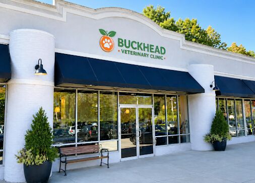 New York, Health, Buckhead Veterinary Clinic