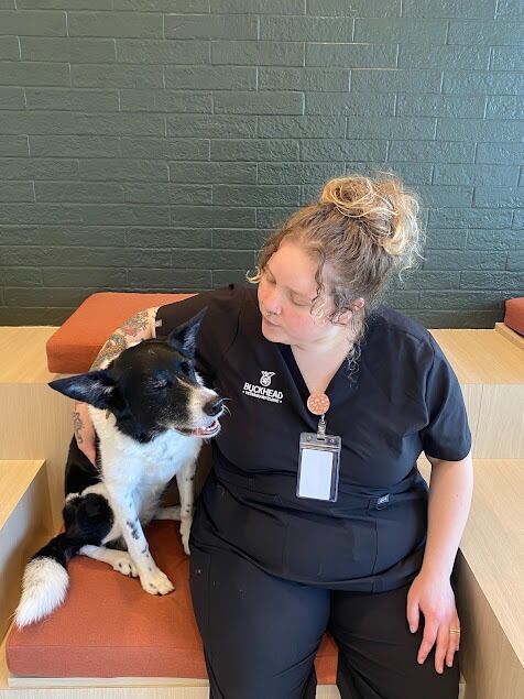 New York, Health, Buckhead Veterinary Clinic