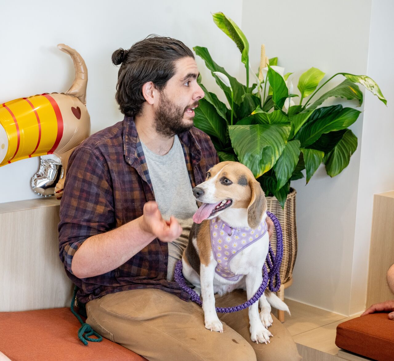 New York, Health, Buckhead Veterinary Clinic