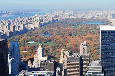 New York, Real Estate, Property Management Companies Brooklyn NY