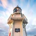 Scenic Akaroa Day Tour From Christchurch | Cheeky Kea Travel