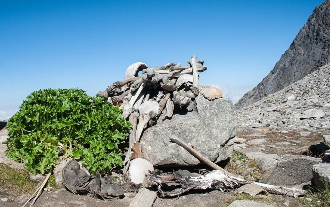 Mumbai, Travel, Roopkund Trek Package - Skeleton Lake Of India