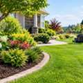 Best Lafayette Lawn Care
