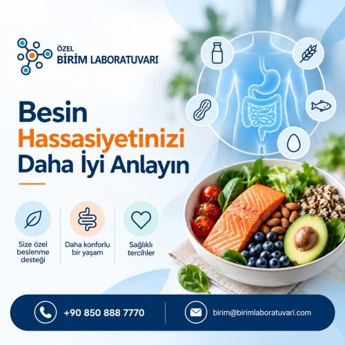 Istanbul, Health, Besin Hassasiyetinizi Daha İyi Anlayın