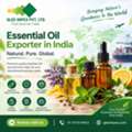 Why India Is A Preferred Destination For Essential Oil Sourcing