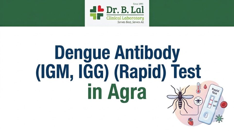 Lucknow, Health & Beauty Items, INR 1000,  Dengue Test In Agra For Early Diagnosis & Treatment | Dr. B. Lal Clinical Lab
