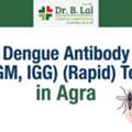 INR 1000,  Dengue Test In Agra For Early Diagnosis & Treatment | Dr. B. Lal Clinical Lab