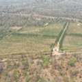 Buy Agricultural Land In Maharashtra: Explore Sandalwood Land In Nagpur