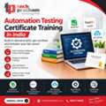 Automation Testing Certificate Training In India