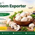 Leading Mushroom Exporter In India &ndash; GLEE IMPEX