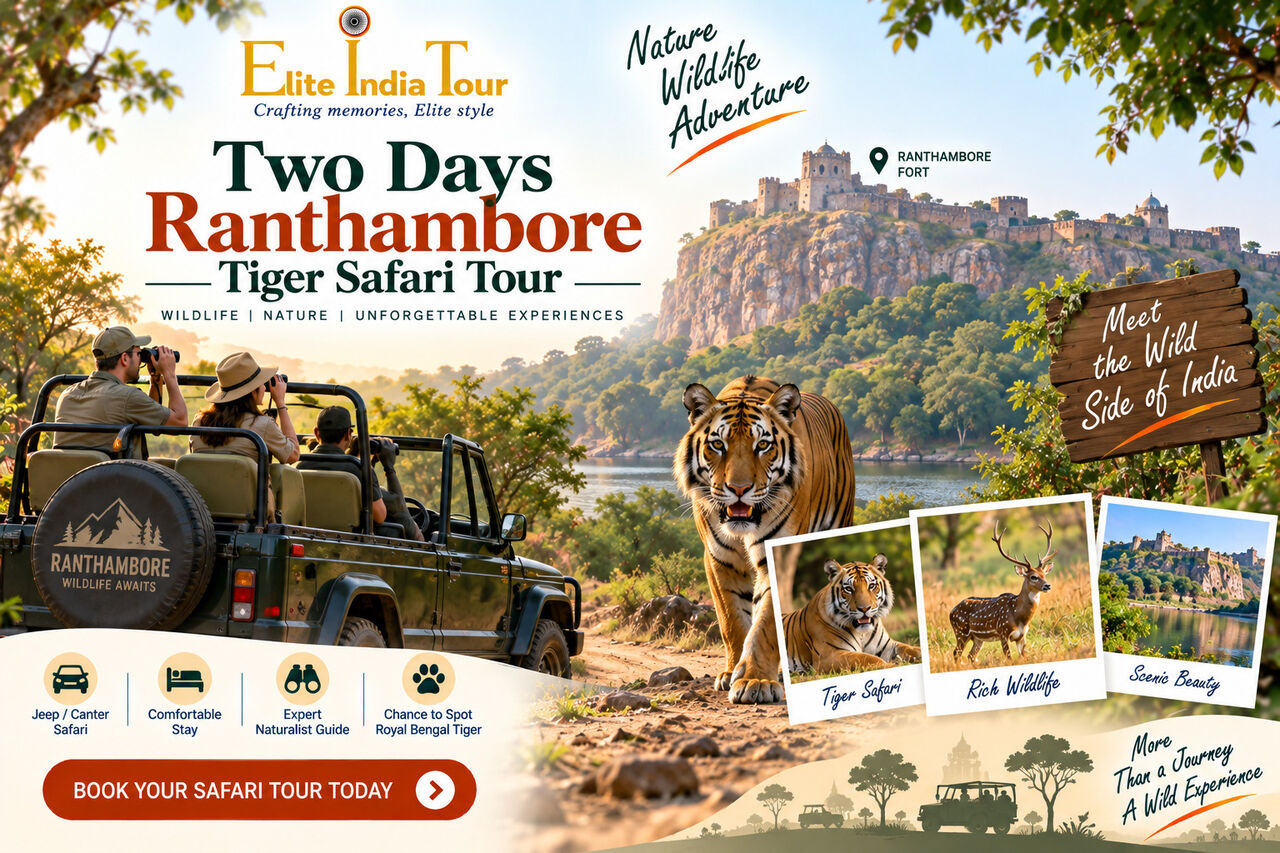 Mumbai, Travel, Two Days Ranthambore Tiger Safari Tour