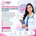How Many Embryos Should Be Transferred In IVF?