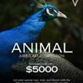 Join Animal Drawing Competition | Global Artists | TERAVARNA