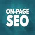SEO Services In Panipat | Grow Your Business With MD UZZY