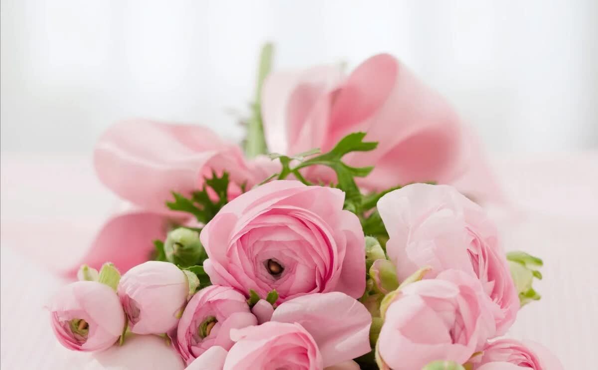 New York, Creative, Share Kindness With Flower Delivery To Childrens Recovery Center