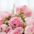 Share Kindness With Flower Delivery To Childrens Recovery Center