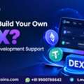 Want To Build Your Own DEX? Get Expert Development Support
