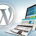 Boost Your Business Growth With Affordable WordPress Solutions In London