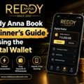 Reddy Anna Book Beginner’s Guide To Using The Digital Wallet