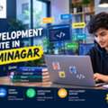 Learn Professional Web Development With Practical Training In Laxmi Nagar
