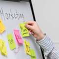 Marketing Companies Charlotte NC For Creative Business Growth