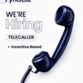 Job Title: Tele Caller &ndash; Incentive Based